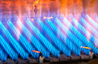 Robinhood End gas fired boilers